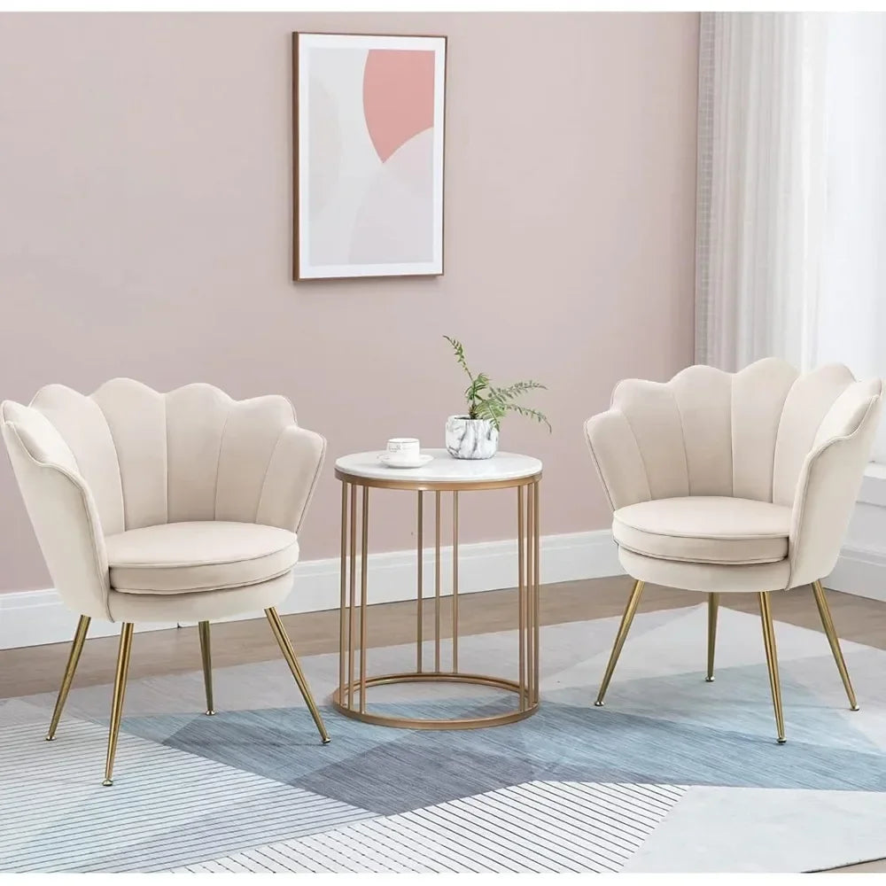 Living Room Chair Set of 2 with Metal Legs,